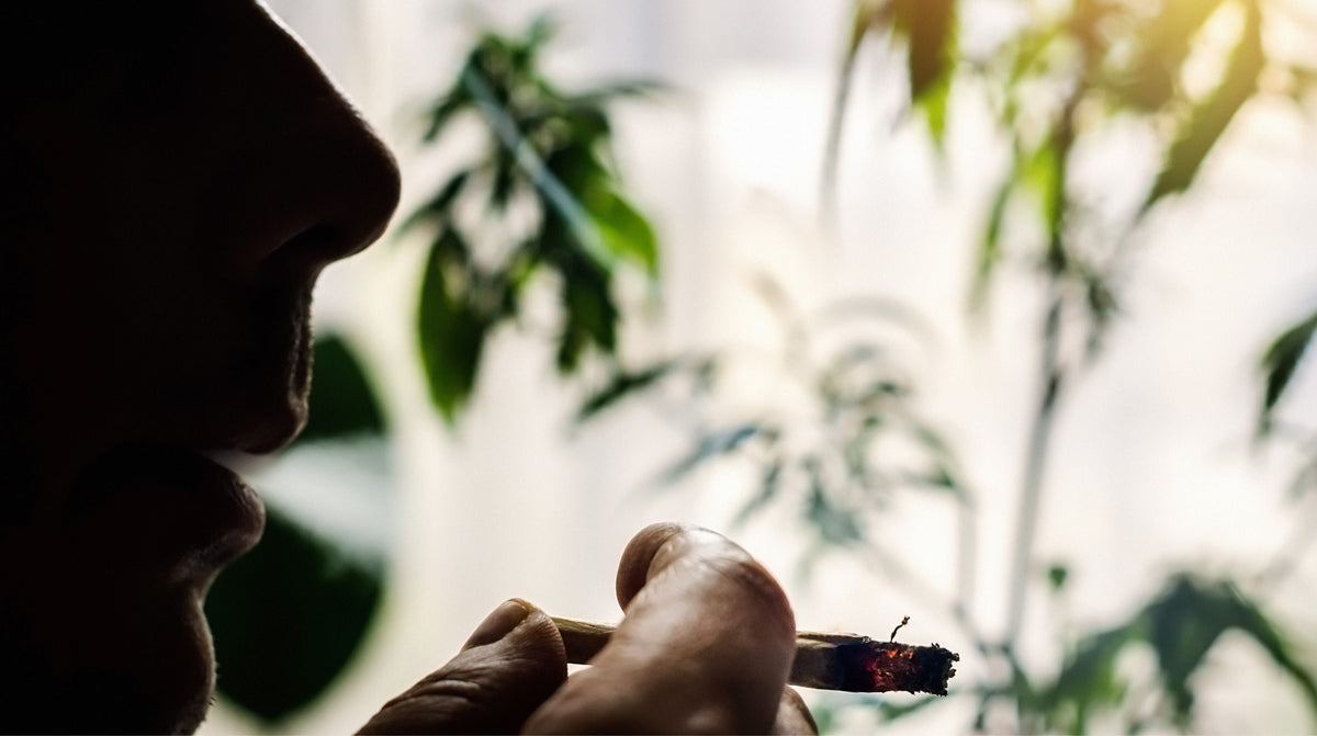 man smoking weed cannabis marijuana